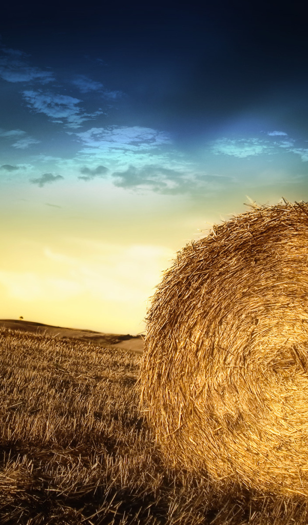 Тюки с соломой