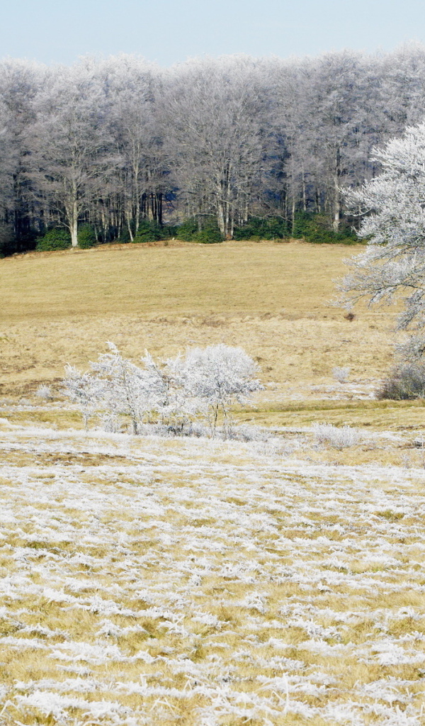 Холодным утром