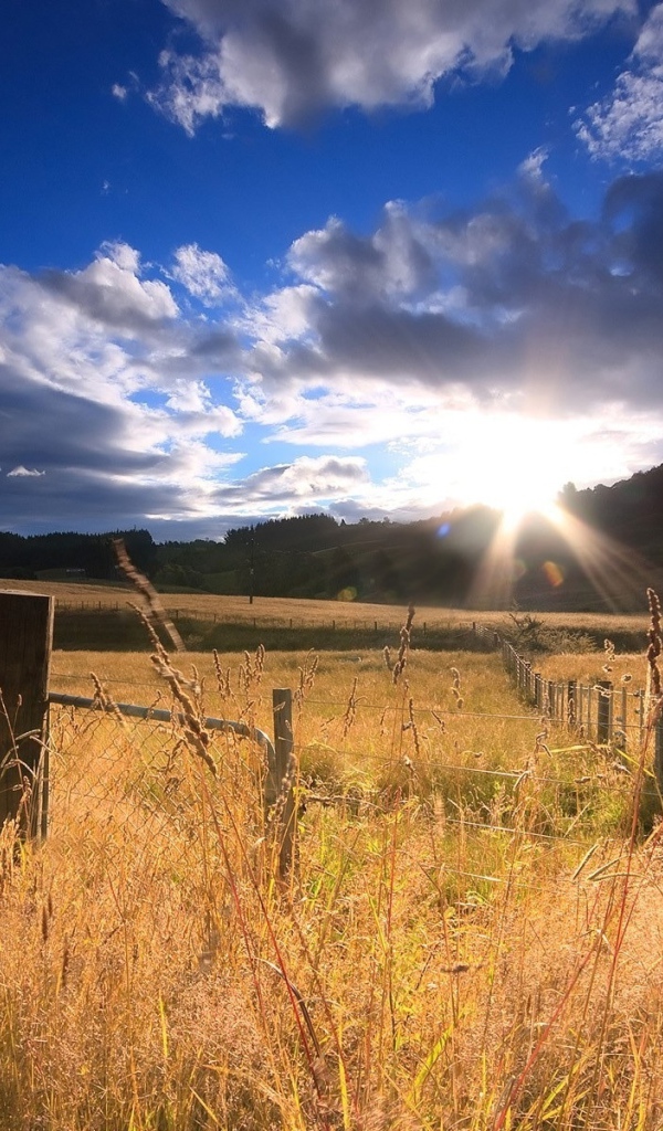 Огороженное поле