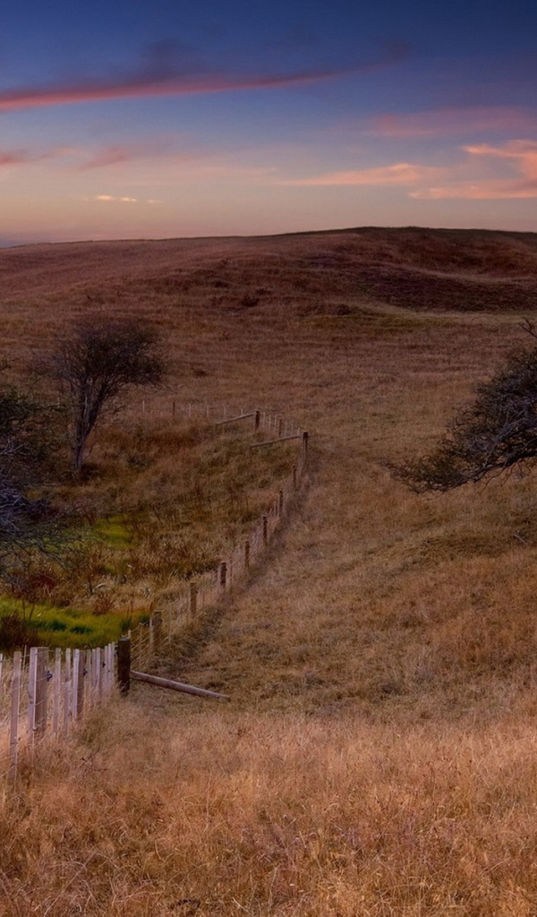 Поле и забор