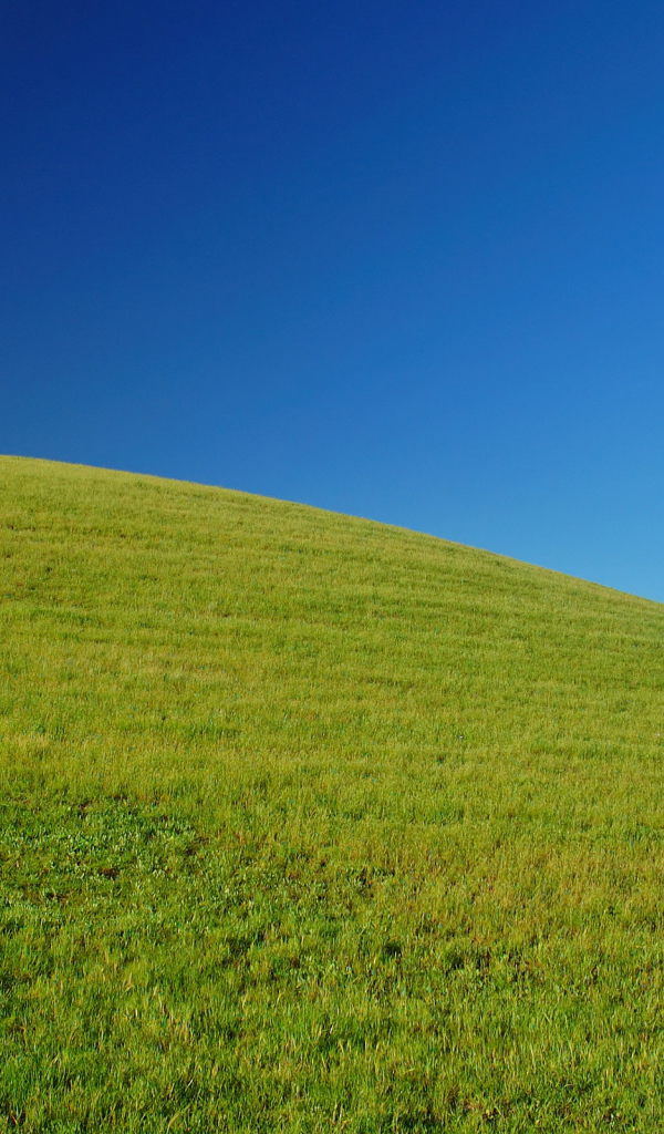 Свежая зелень