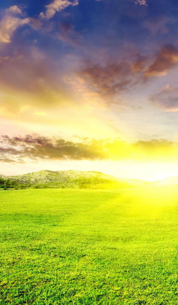 Зеленые луга