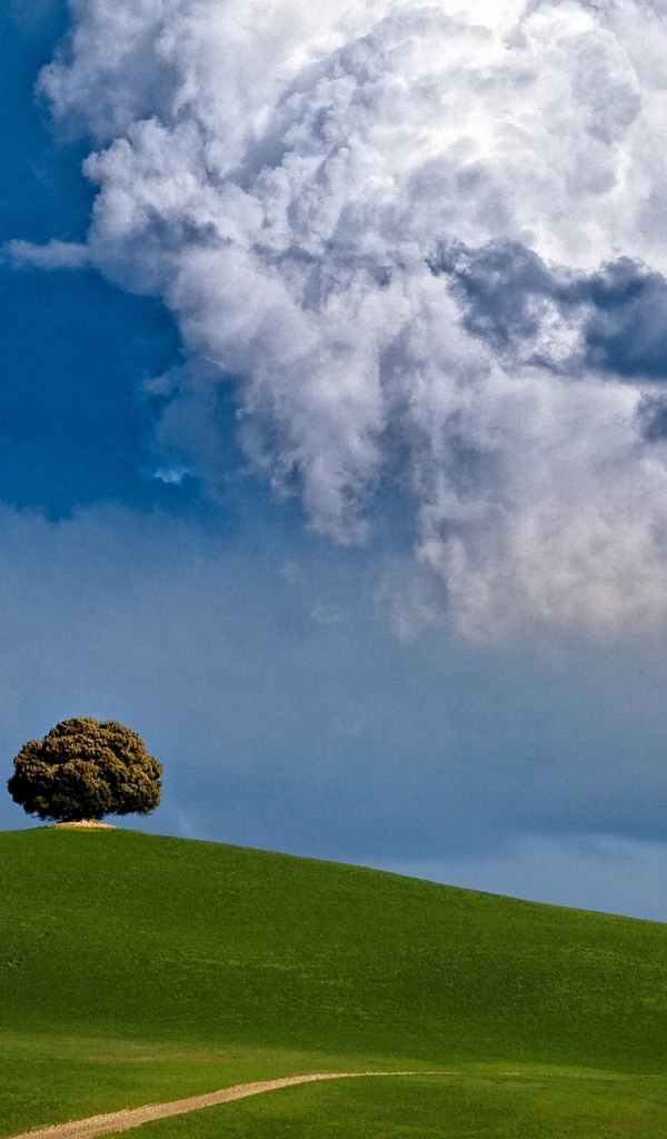 Один в поле