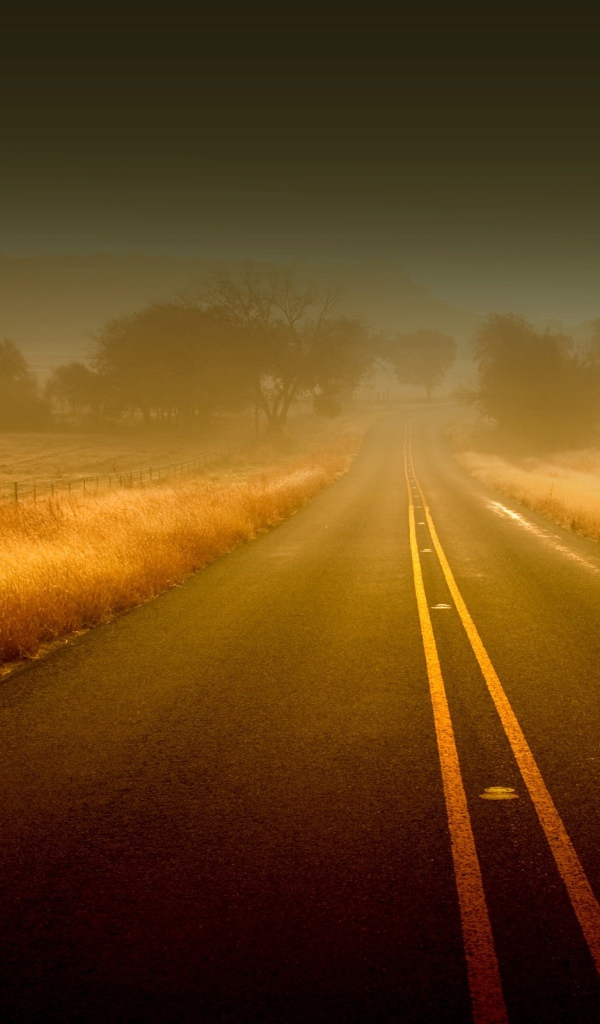 Дорога среди полей