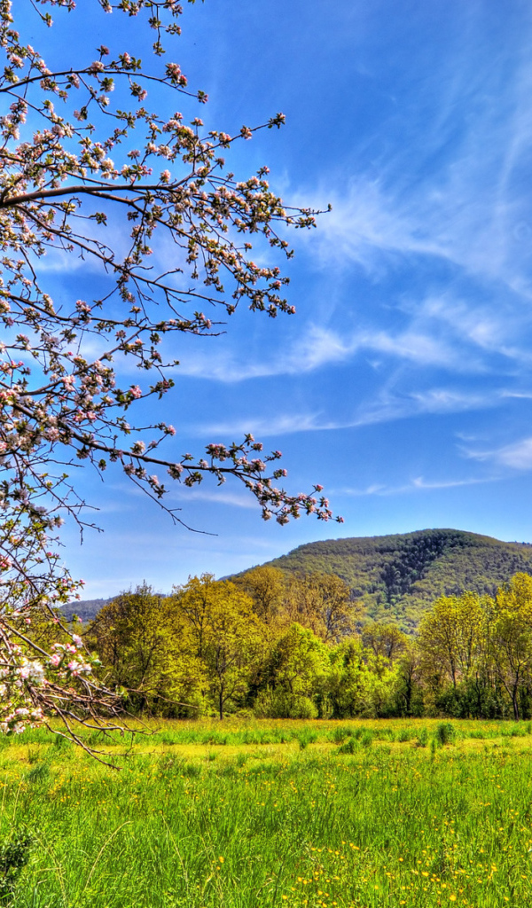 Весенний пейзаж