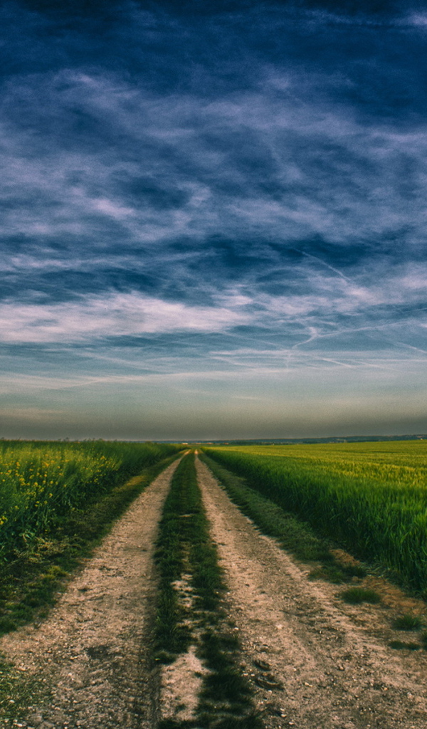 Дорога в поле