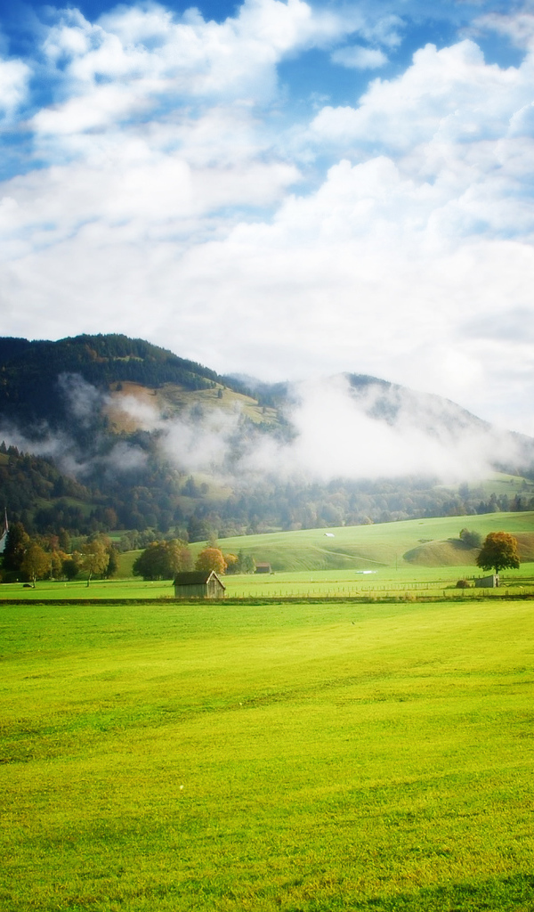 Просторы полей