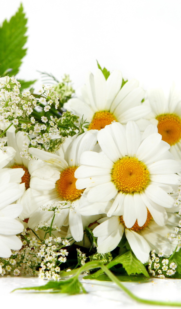 Букет из ромашек