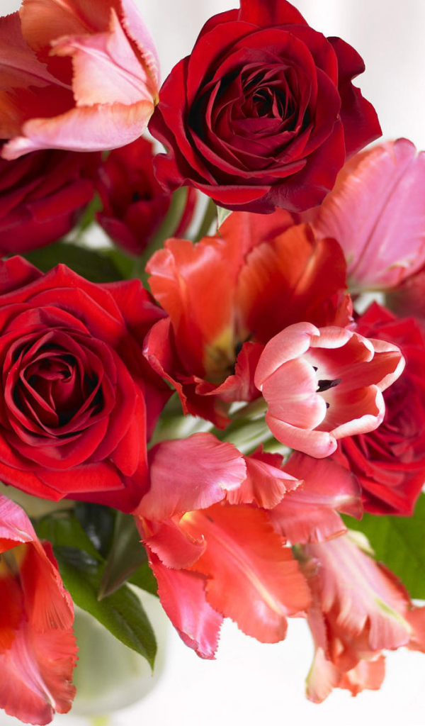 Букет тюльпанов и роз