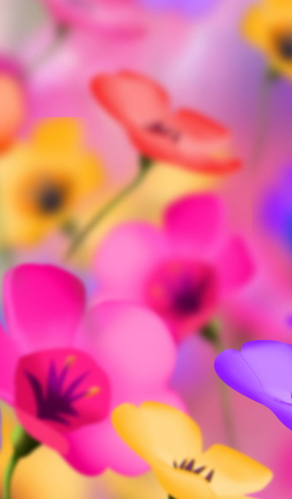 Яркие цветочки