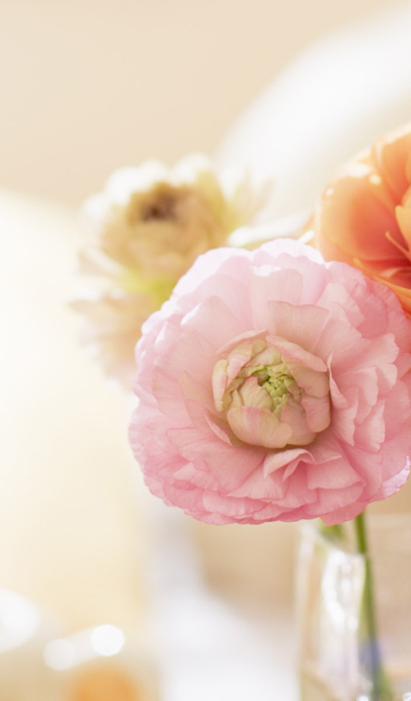 Нежные цветочки в вазе