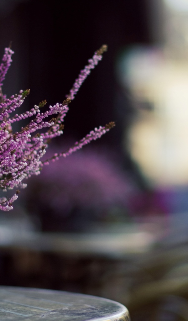 Цветы в корзинке