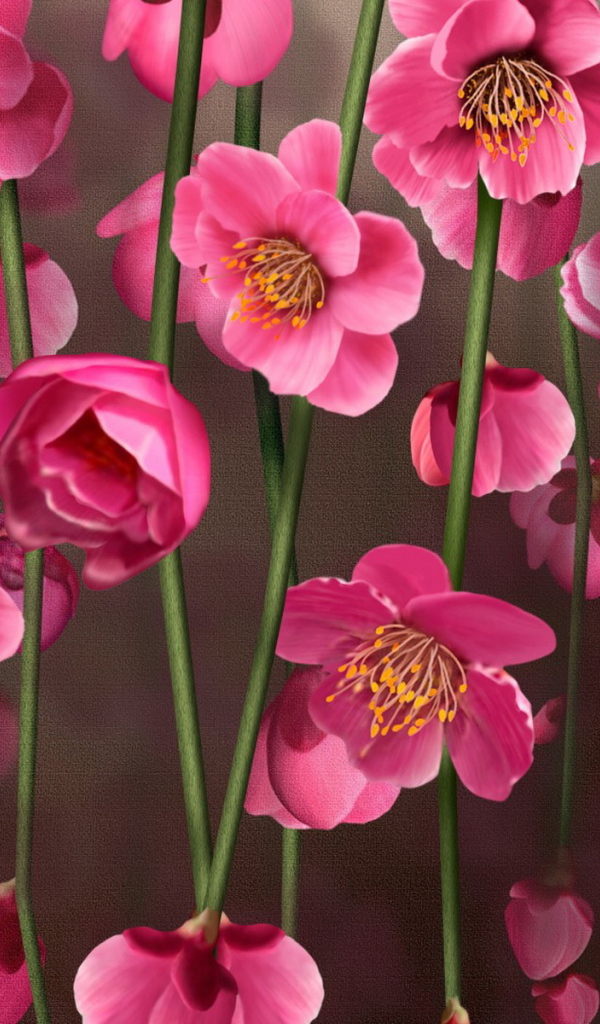 Рисунок цветов