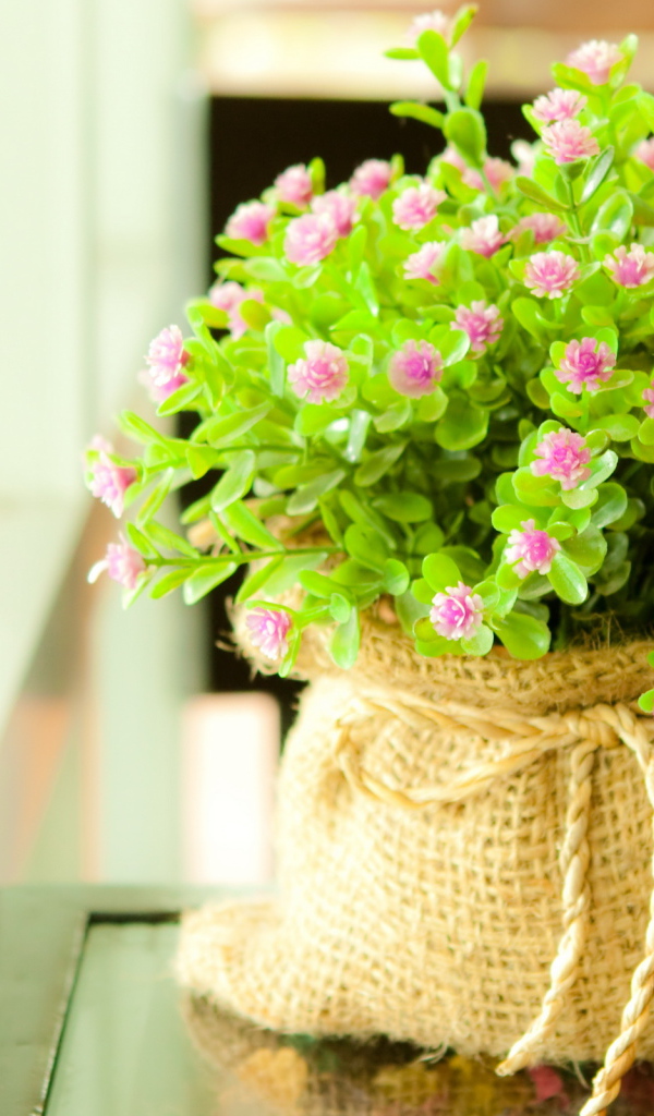 Мелкие цветочки