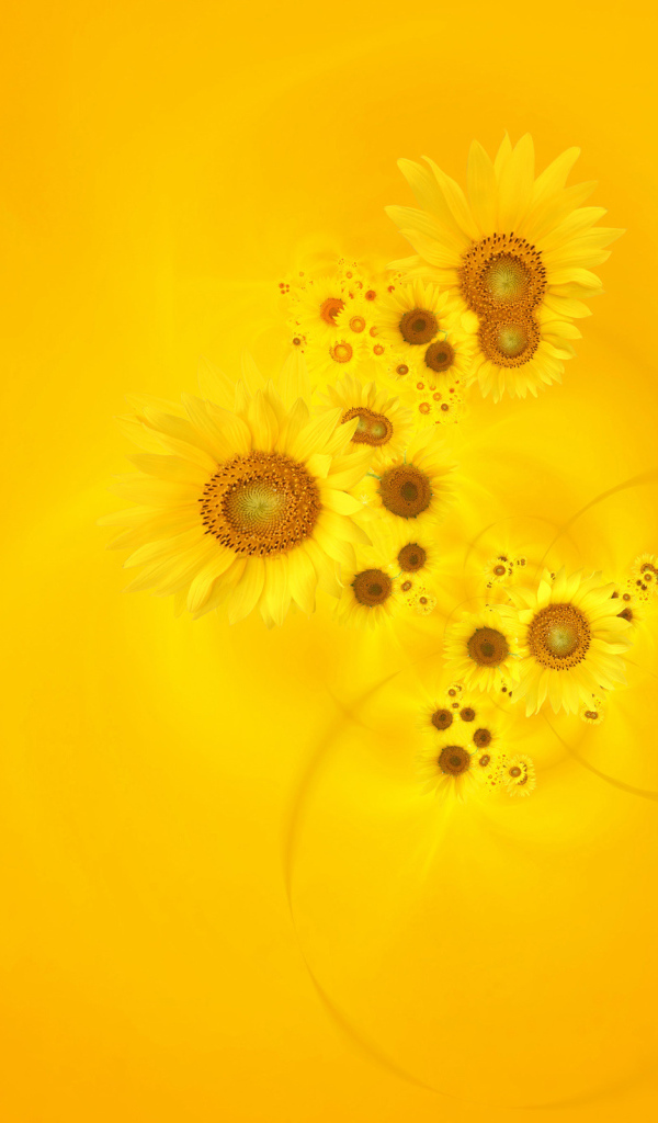Подсолнухи на желтом фоне