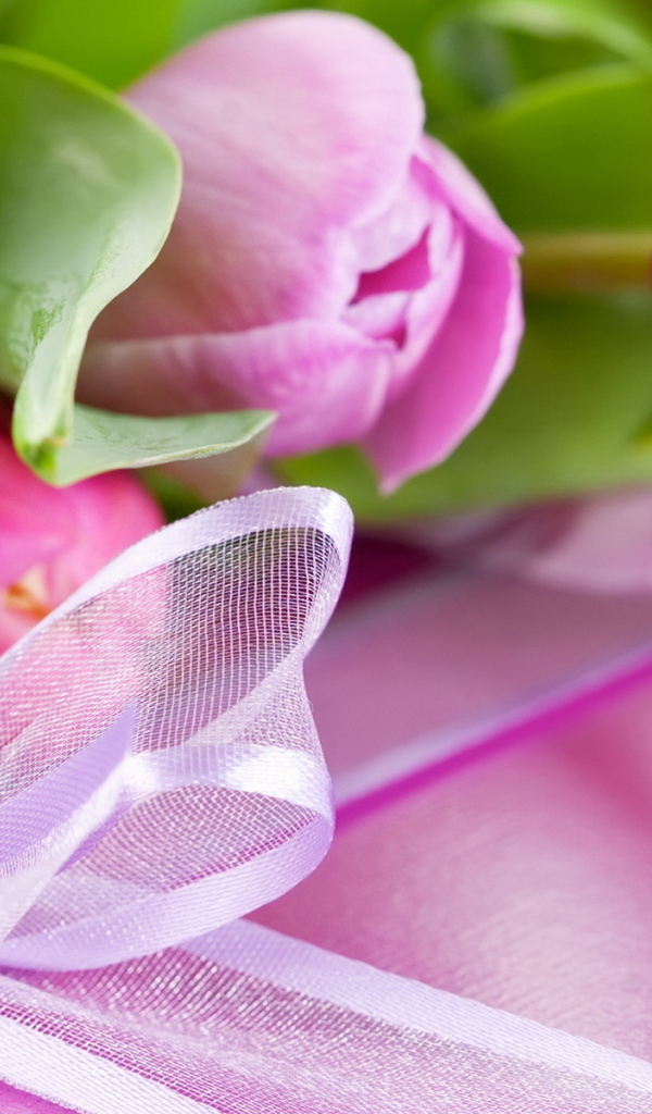 Тюльпаны и подарок