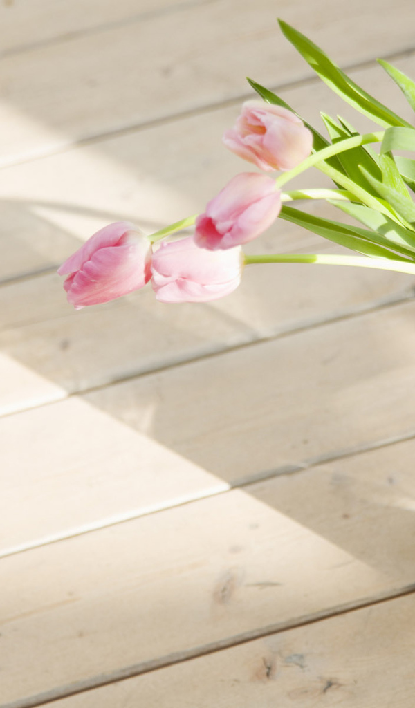 Тюльпаны в стакане