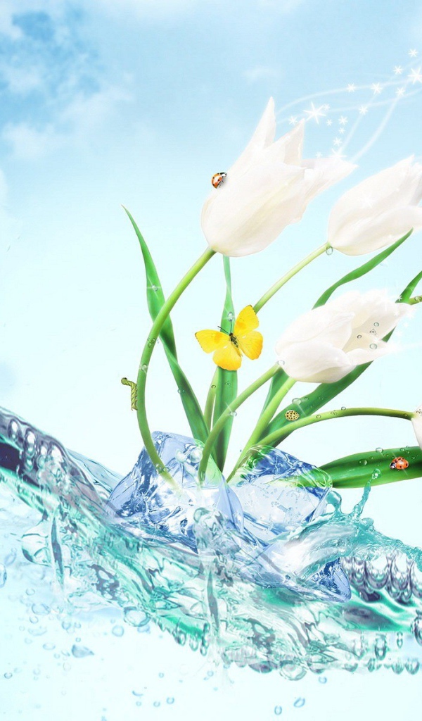 Водные тюльпаны