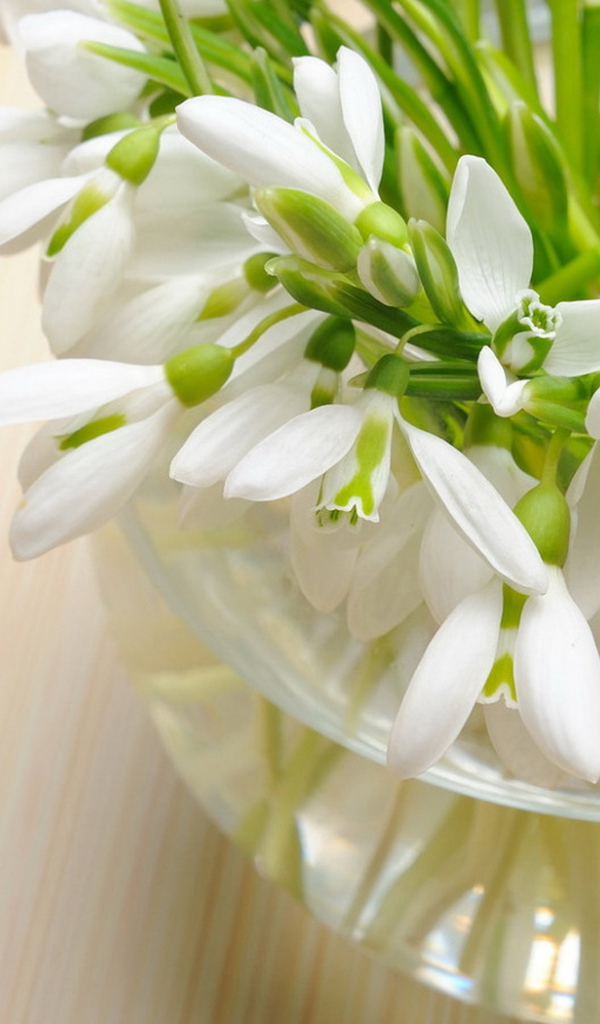 вазочка Подснежников