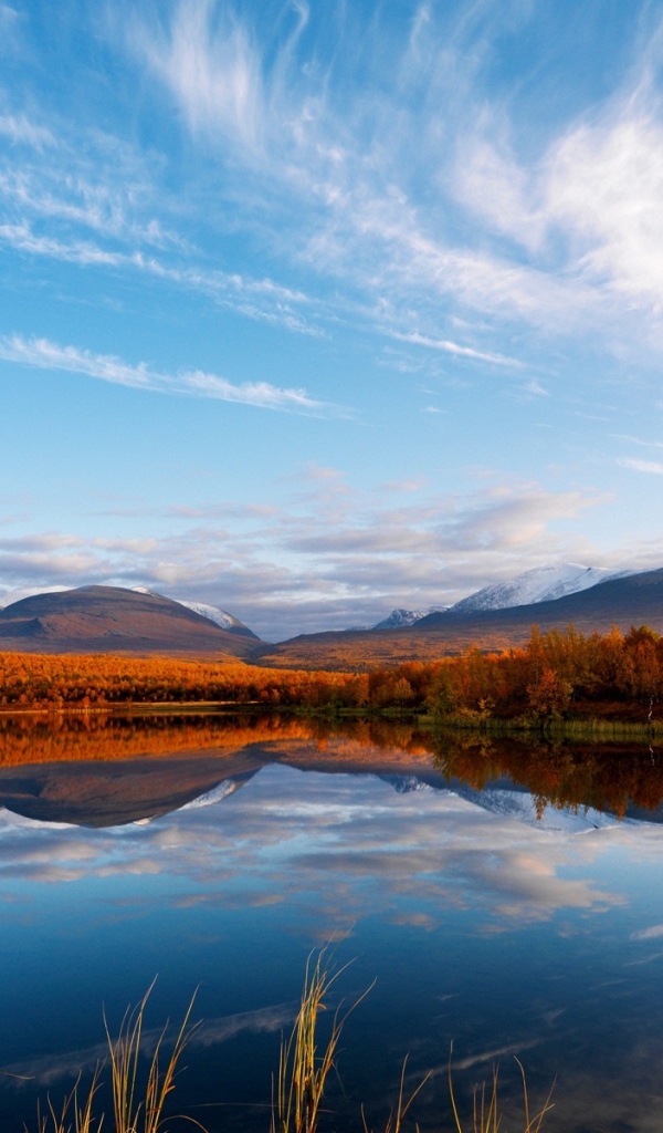 Осенний лес и озеро