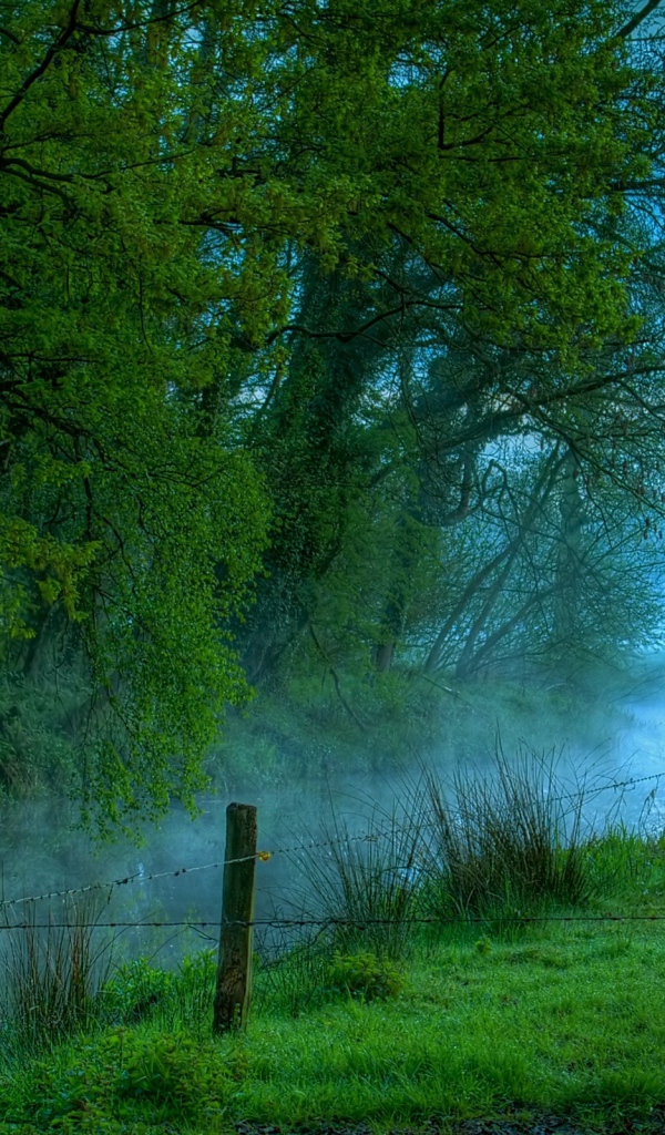 Туманная река