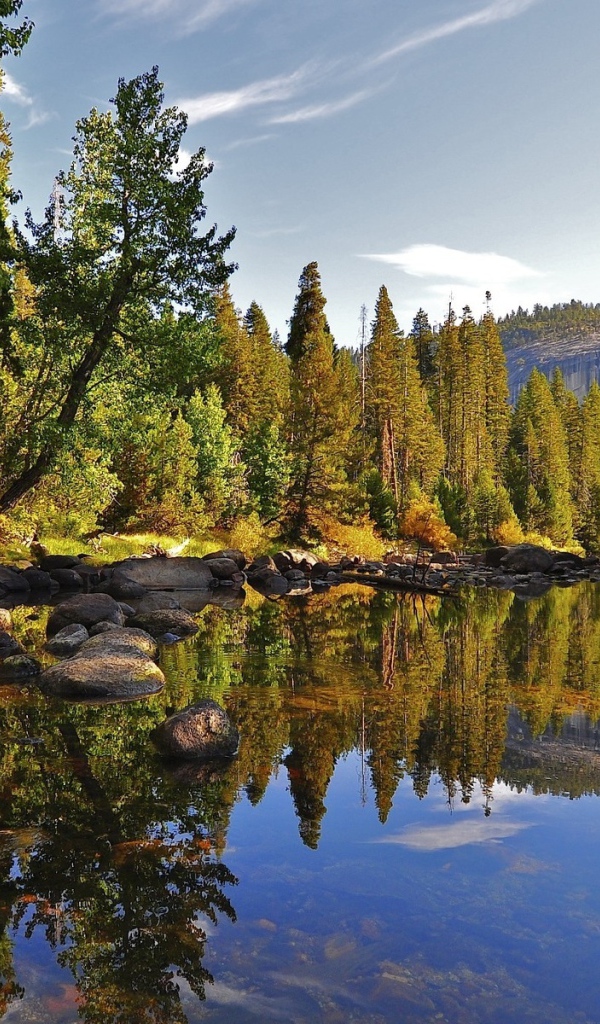 Маленькое лесное озеро