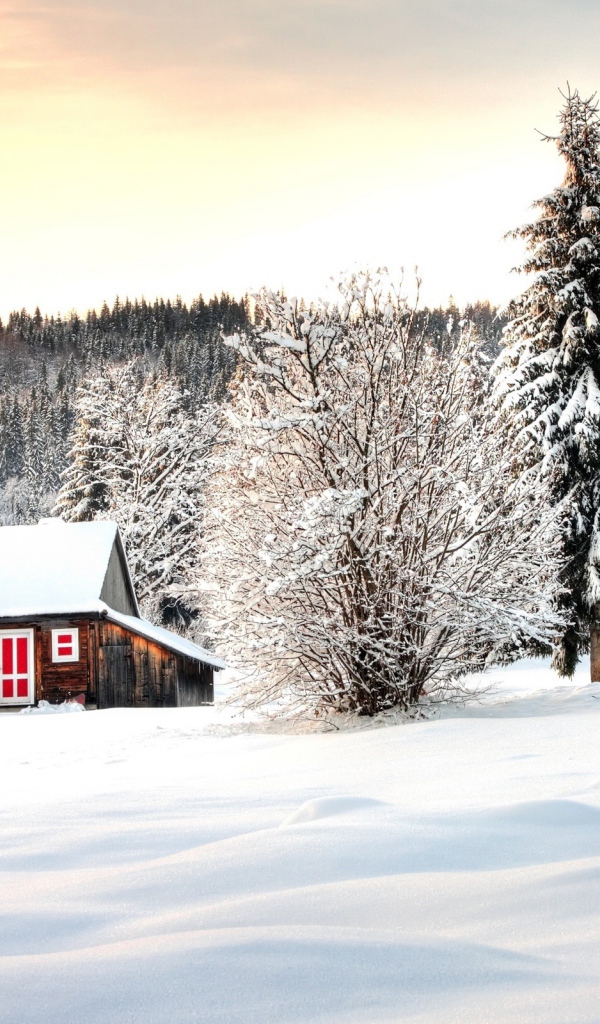 Домик в лесу