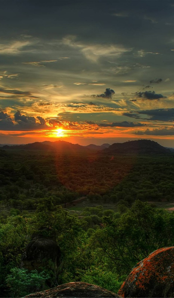 Лес с высоты гор