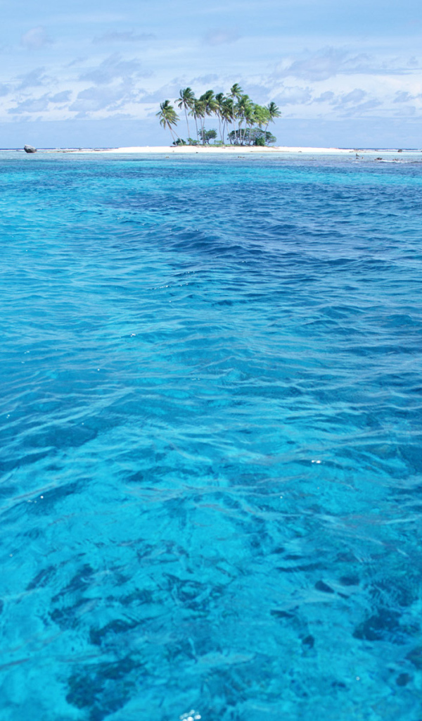 Остров с пальмами