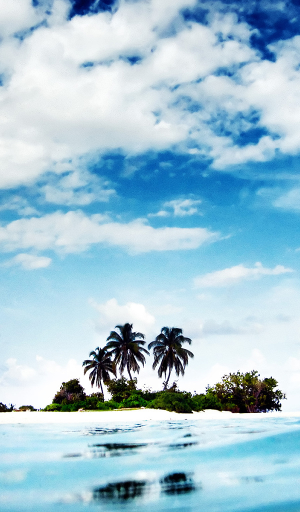 Дикий остров