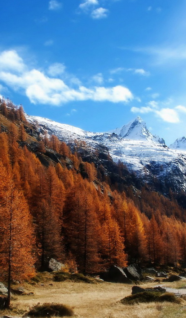 Высокогорный пейзаж