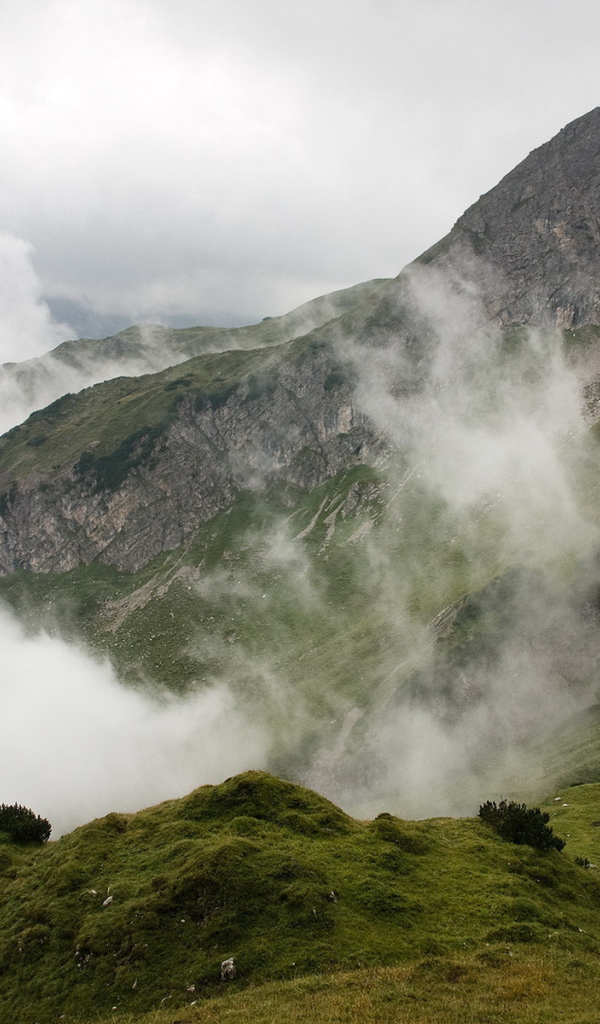Альпы в облаках