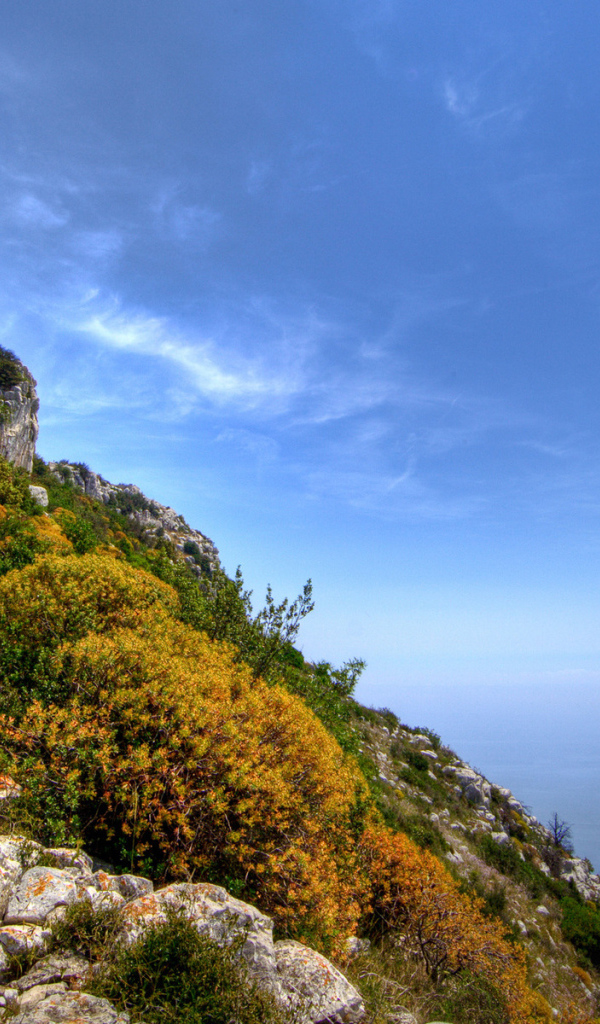 На вершине цветущей скалы