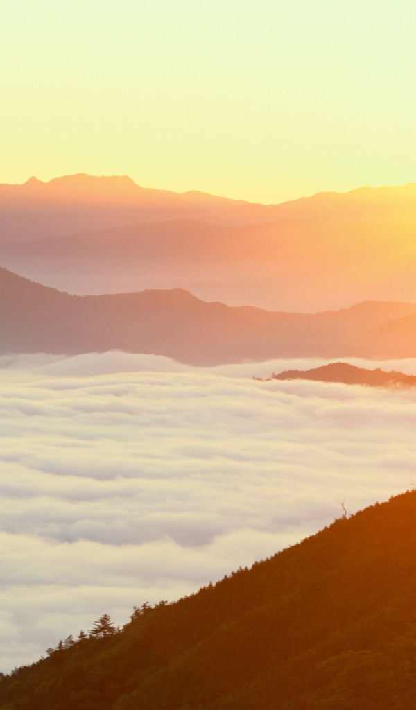 Густой туман