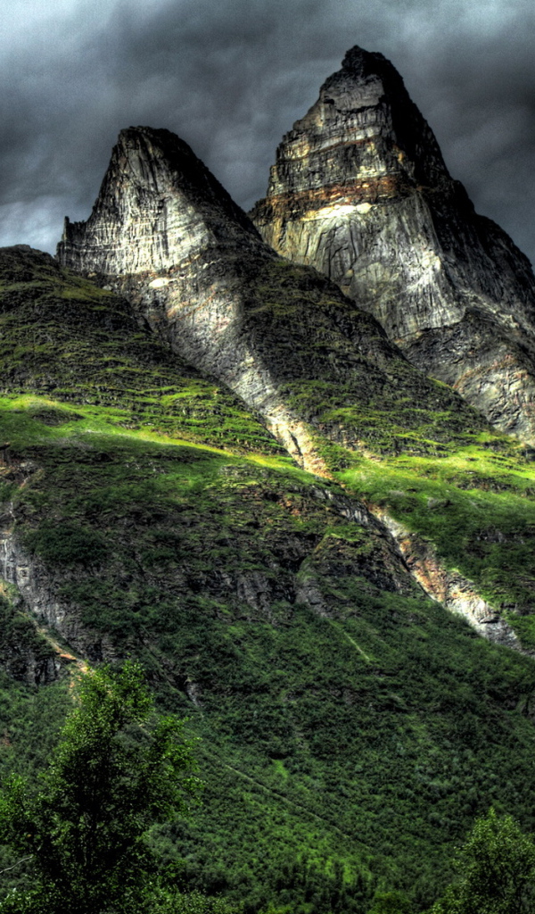 Зеленые горы