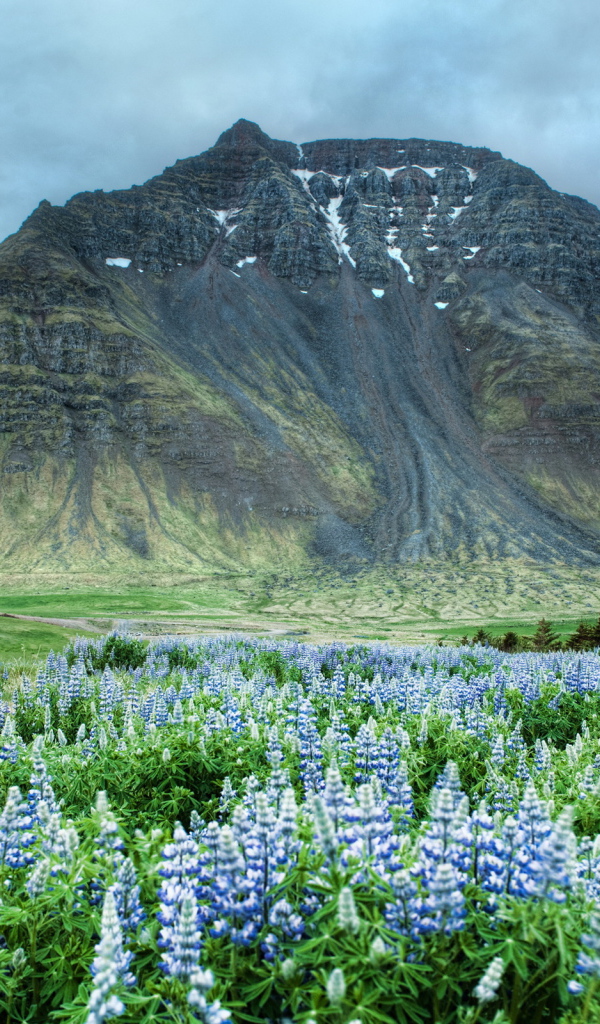 Высокая гора