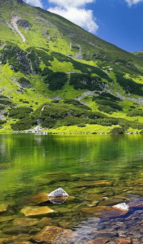 Озеро у подножия