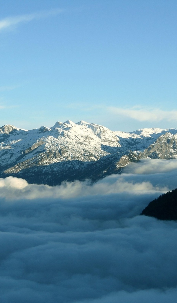 Туман у подножия гор