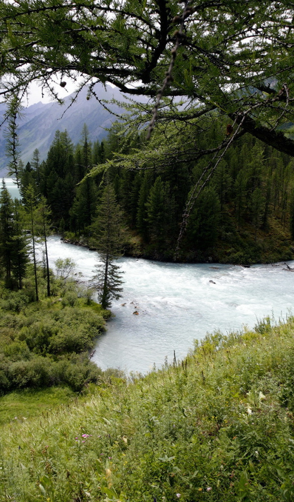 Горная река