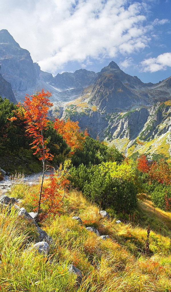 Горная тропа