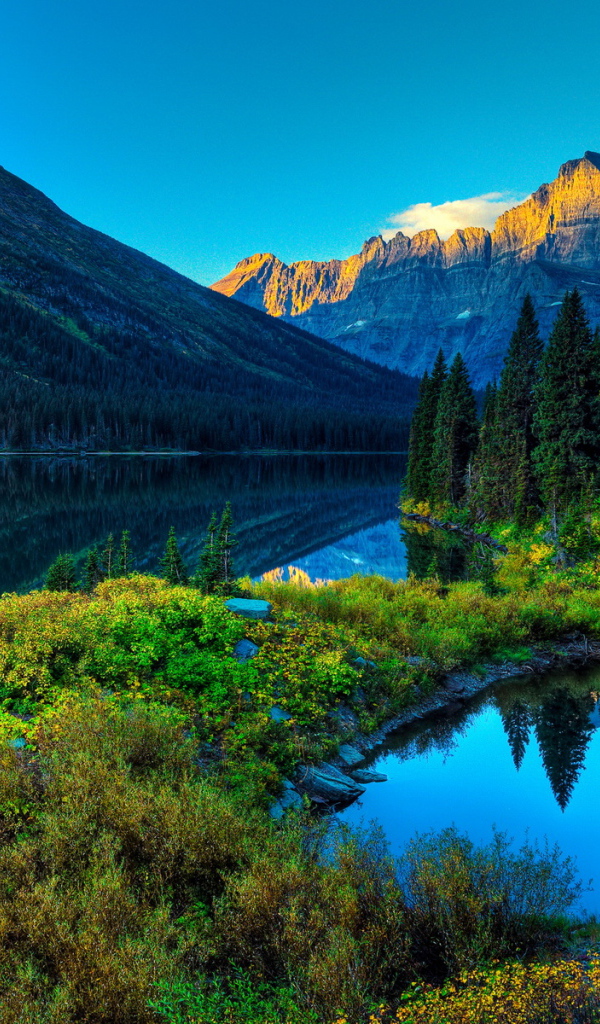 Горы, река и лес