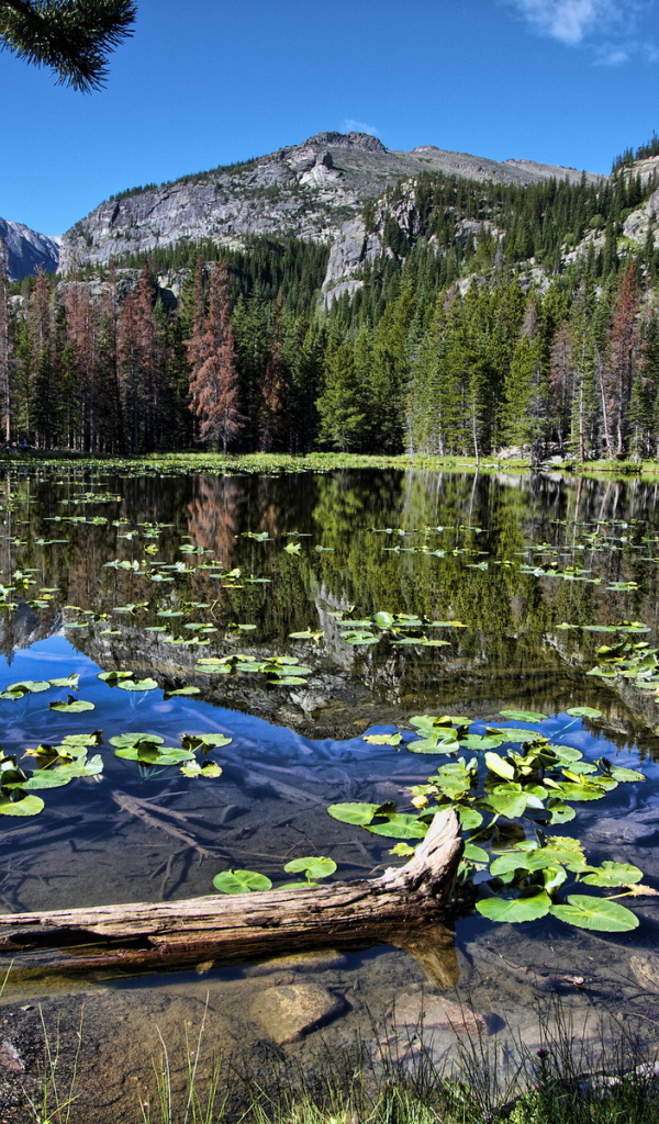 Горная запруда