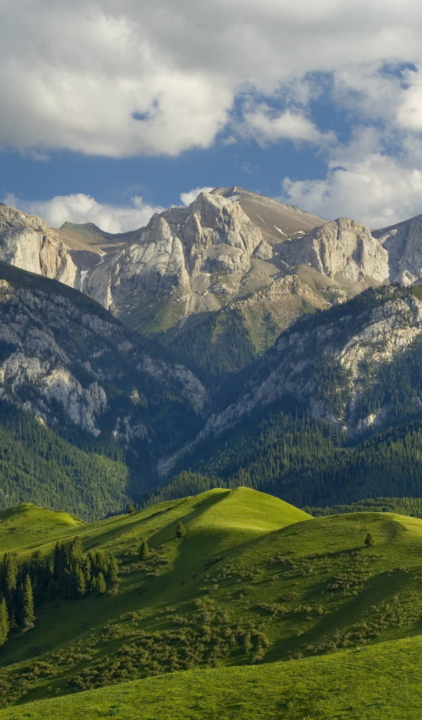 Горный ландшафт