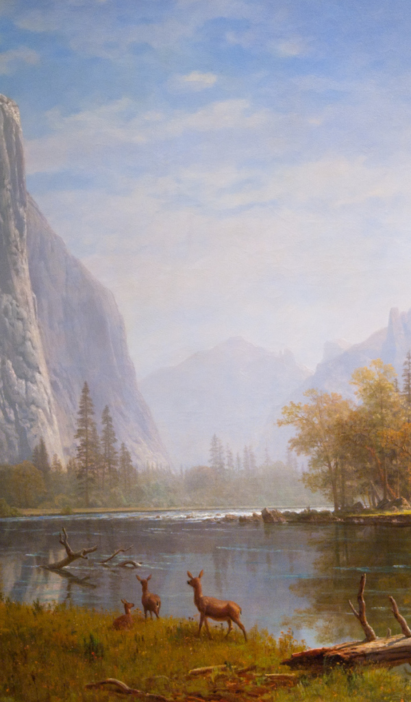 Горный пейзаж