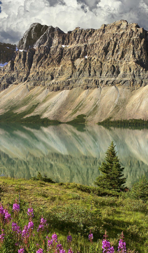 Горный пейзаж