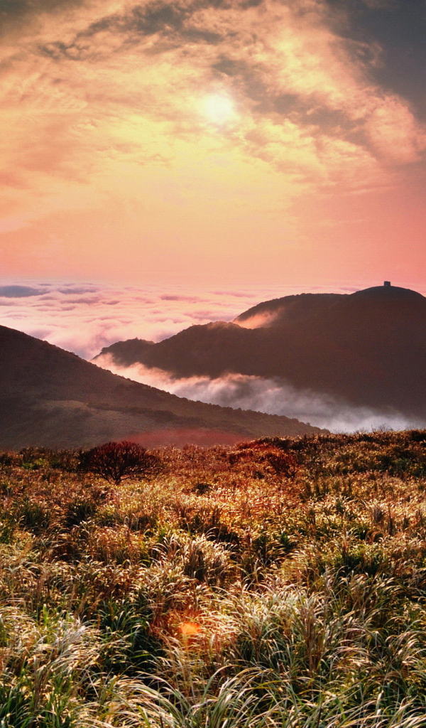 Горы и туман