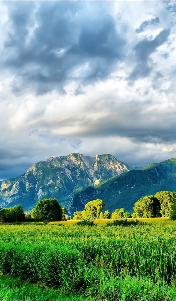 Горы и небо