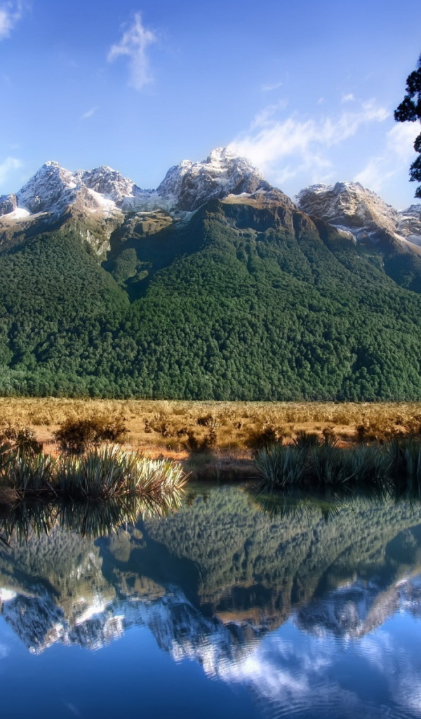 Горы и пруд