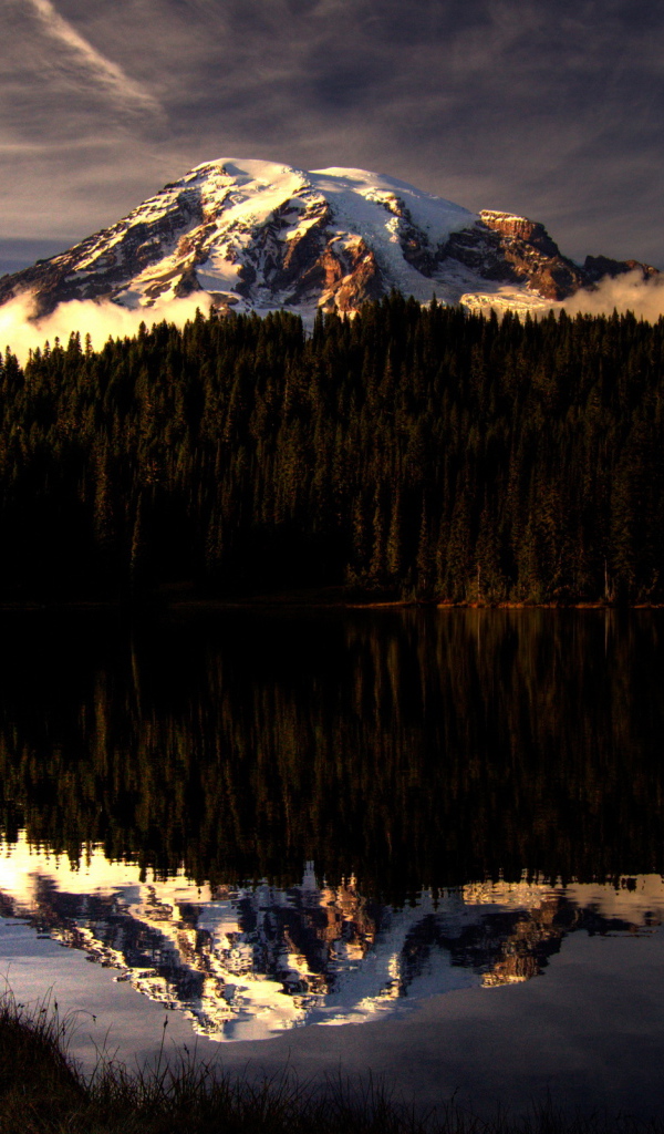 Горы за лесом