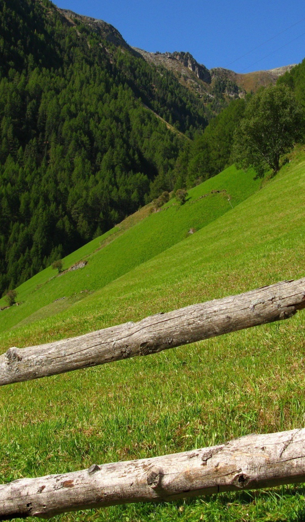 На склонах гор